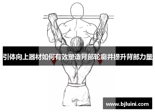 引体向上器材如何有效塑造背部轮廓并提升背部力量