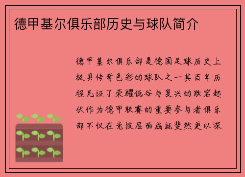 德甲基尔俱乐部历史与球队简介