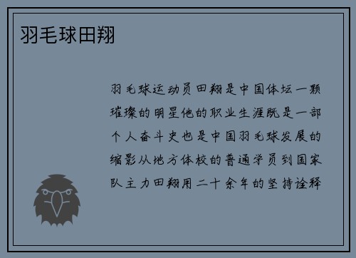羽毛球田翔